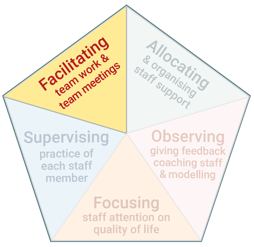 Diagram highlighting the fifth task of Practice Leadership which is to facilitate team work and chair team meetings.
