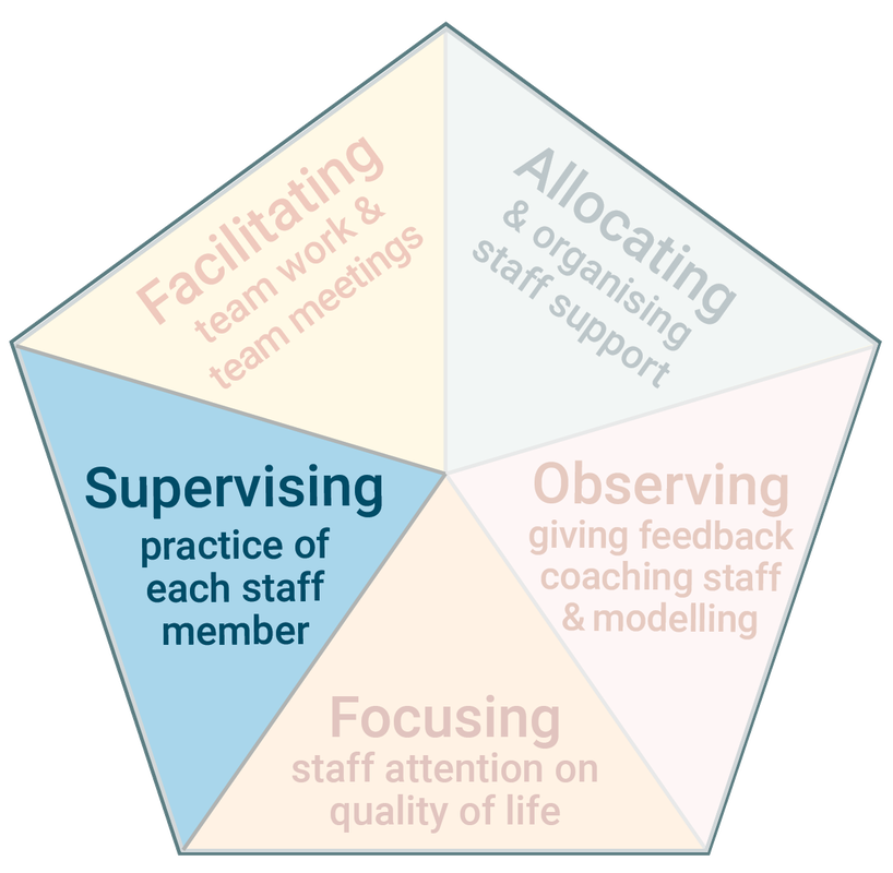 Diagram highlighting the ​​fourth task of Practice Leadership which is supervising staff.