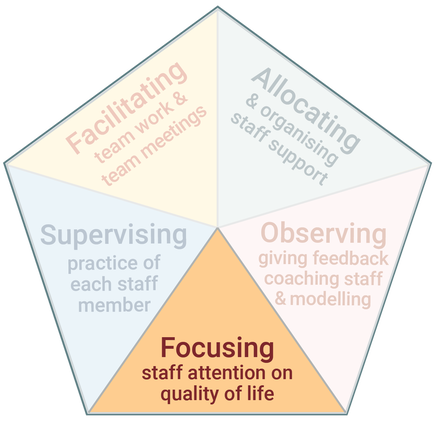 Diagram highlighting the first task of Practice Leadership - focusing staff attention on quality of life.